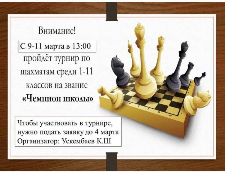 Чемпион школы